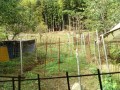 IMG_20260914_090643