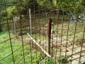 IMG_20260914_090656