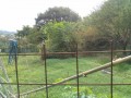 IMG_20260914_090658