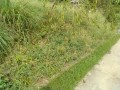 IMG_20260914_092545