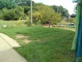 IMG_20260914_092549