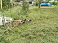 IMG_20260914_095509