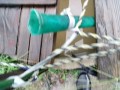IMG_20260915_085117