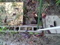 IMG_20260915_085149
