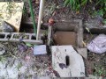 IMG_20260915_085333
