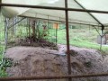 IMG_20260915_085844