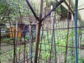IMG_20260915_085846