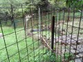 IMG_20260915_085934