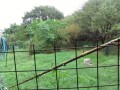 IMG_20260915_085936