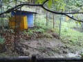 IMG_20260915_085939