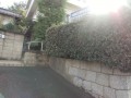 IMG_20260916_085132
