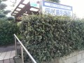 IMG_20260916_085145