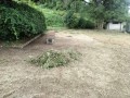IMG_20260916_110917