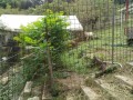 IMG_20260916_112334