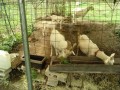 IMG_20260916_112555