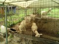 IMG_20260916_112602