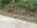 IMG_20260916_115137