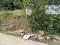 IMG_20260917_090706