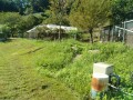 IMG_20260917_091253