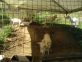 IMG_20260917_091446