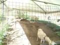 IMG_20260917_091456