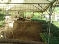 IMG_20260917_091504