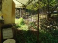 IMG_20260917_091553