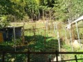 IMG_20260917_091555