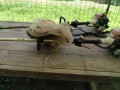 IMG_20260917_102336
