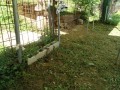 IMG_20260917_102341