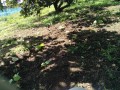IMG_20260917_112135