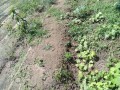 IMG_20260917_112151