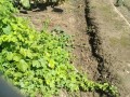 IMG_20260917_112154