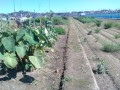 IMG_20260917_112207