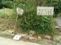 IMG_20260918_084219