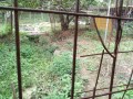 IMG_20260918_084629