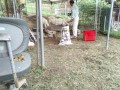 IMG_20260918_085420