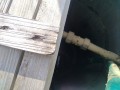 IMG_20260919_081950