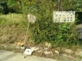 IMG_20260919_082000