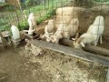 IMG_20260919_083036