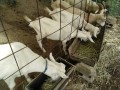 IMG_20260919_083055