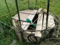 IMG_20260920_072622