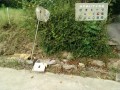 IMG_20260920_072627