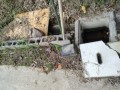 IMG_20260920_072631