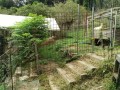 IMG_20260920_072733