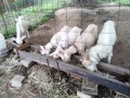 IMG_20260920_072952