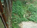 IMG_20260920_073003