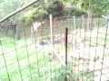IMG_20260920_073016