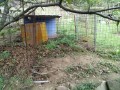 IMG_20260920_073019