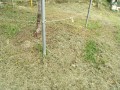 IMG_20260920_073323